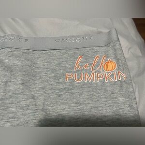 22/24 (3X) Cacique Gray Panties with Hello Pumpkin Design